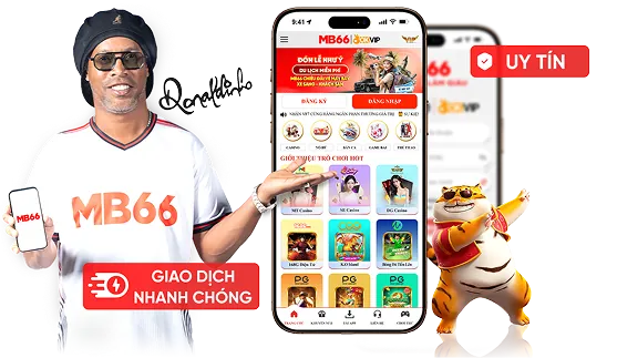 Hỗ trợ khách hàng B66 24/7